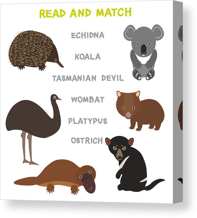 677x750 Kids Words Learning Game Worksheet Read And Match Funny Animals