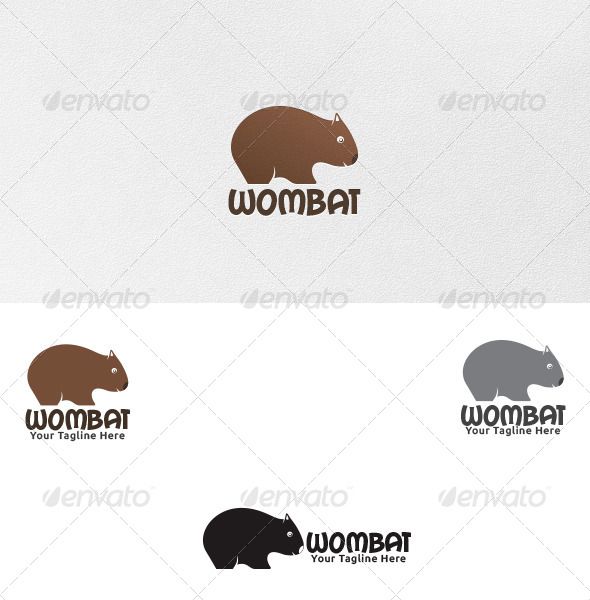 590x600 Wombat