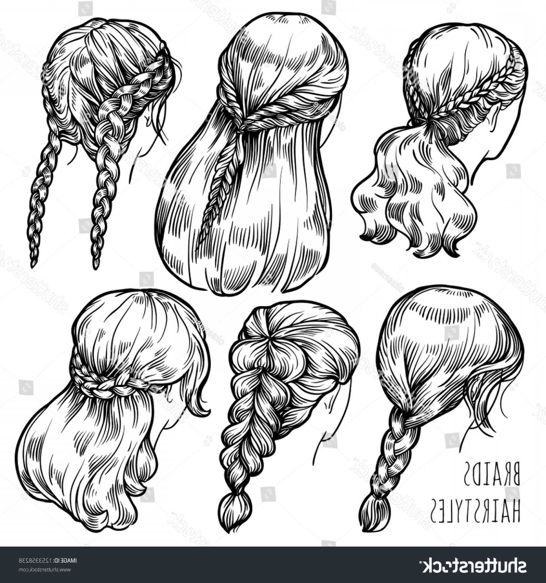 1800x1920 Set Womens Braids Hairstyles Vector Soidergi