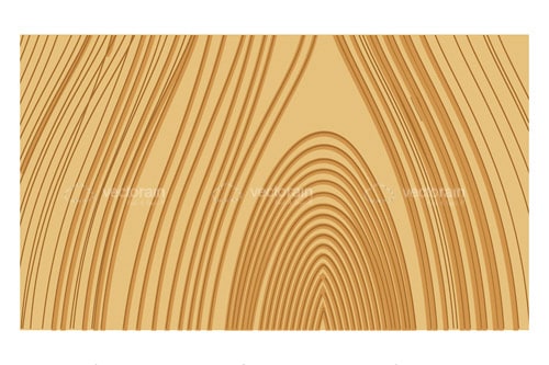500x333 Wood Grain Vector