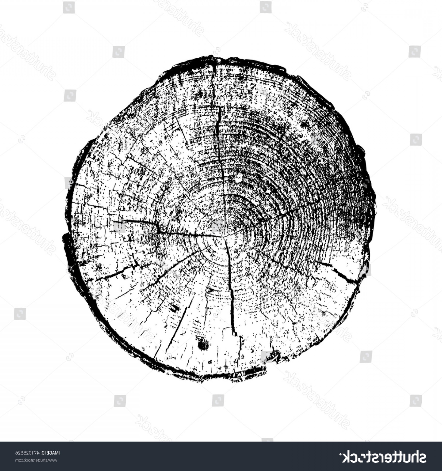 Tree Ring Log Wood Trunk Black Soidergi 1800x1920 Tree Ring Log Wood Trunk Black Soidergi