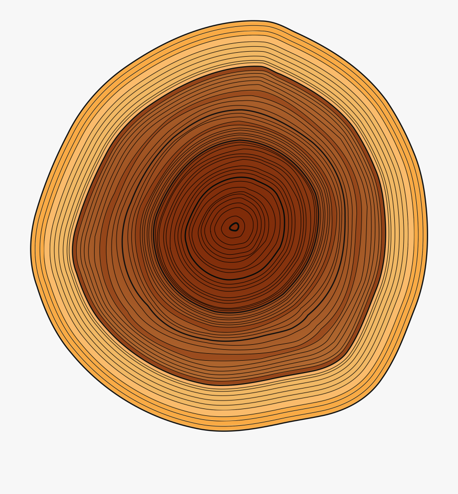 Log png. Сруб дерева вектор. Срез дерева. Годичные кольца древесины. Срез бревна.