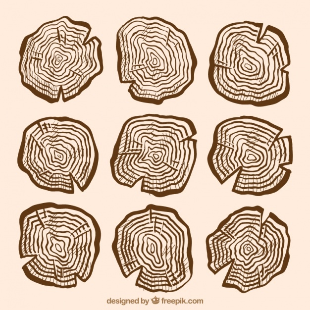 Firewood Vectors, Photos And Free Download 626x626 Firewood Vectors, Photos And Free Download