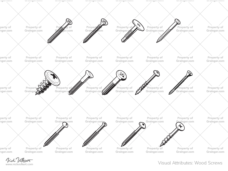 800x600 The Cupid Shark Nick Volkert