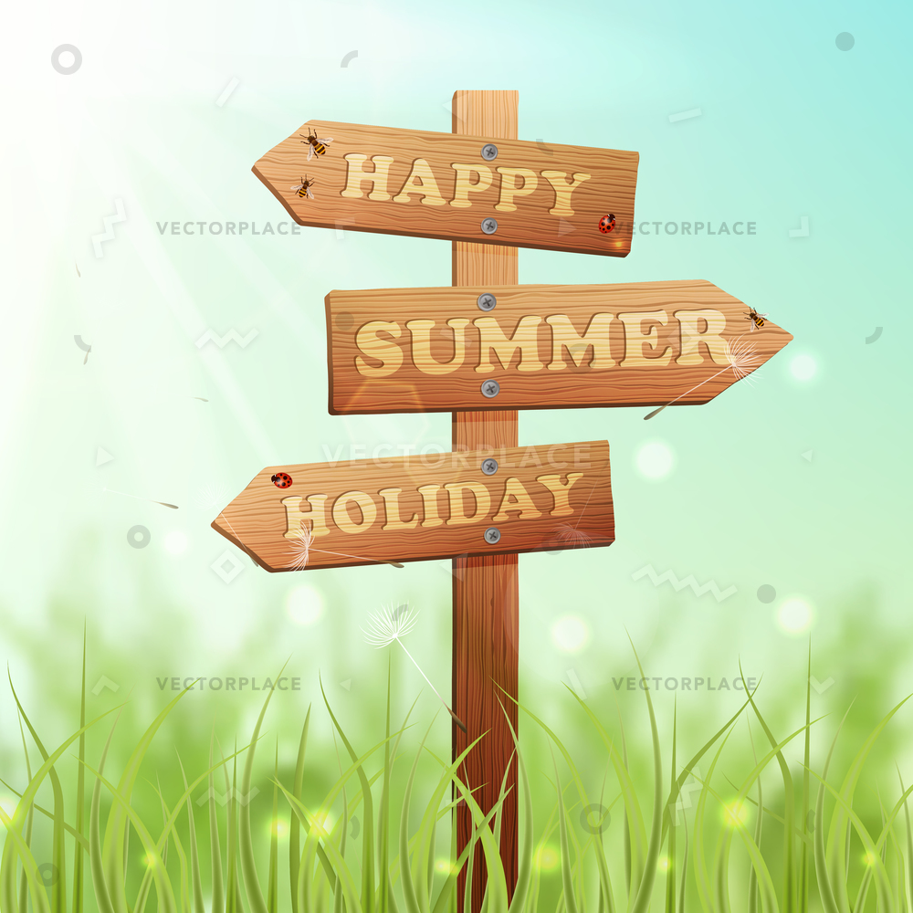 1000x1000 Wooden Arrow Information Sign Summer Meadow Vector Illustration
