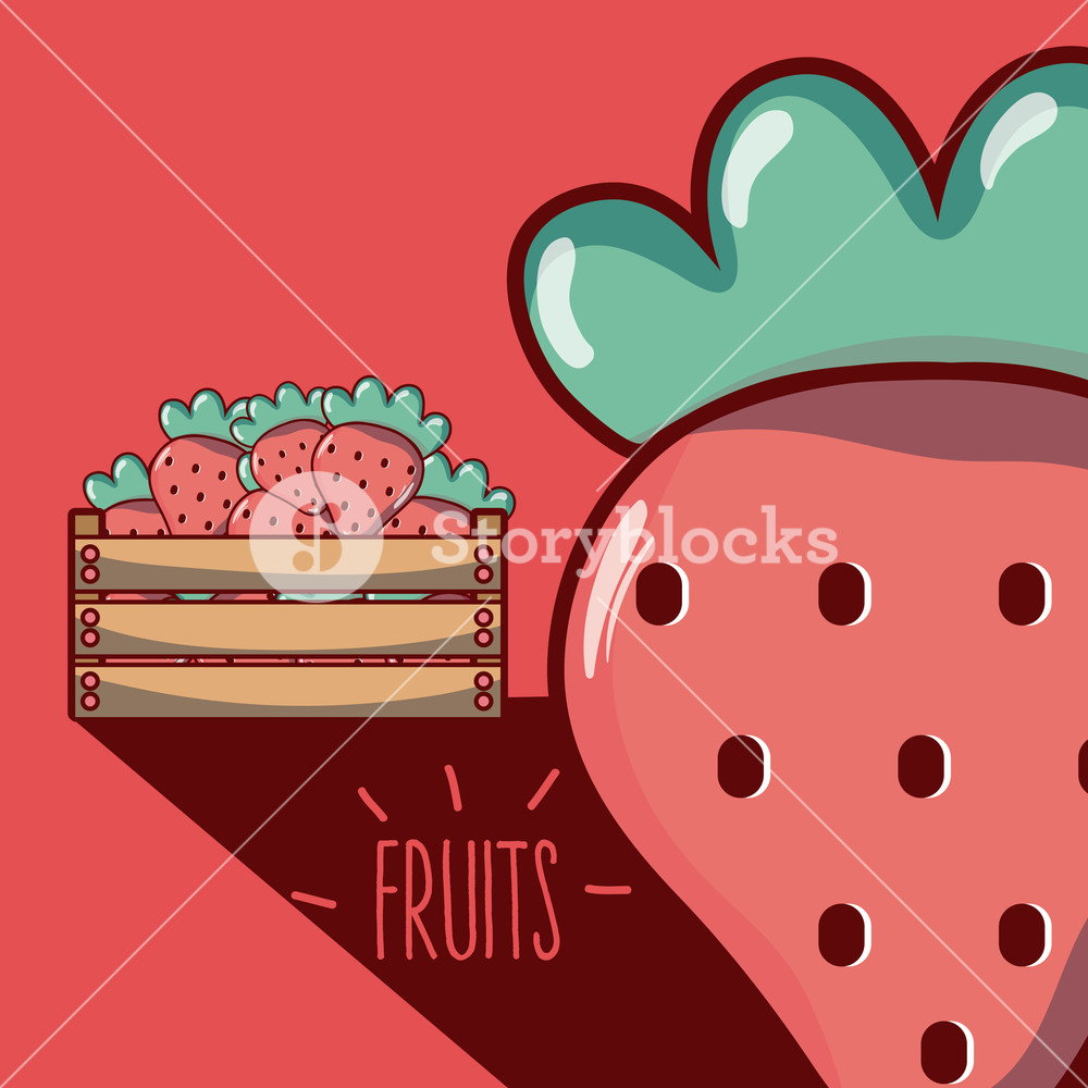 1000x1000 Strawberries Inside Wooden Box Vector Illustration Graphic Design