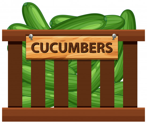 Cucumber In Wooden Crate Vector Premium Download 626x526 Cucumber In Wooden Crate Vector Premium Download
