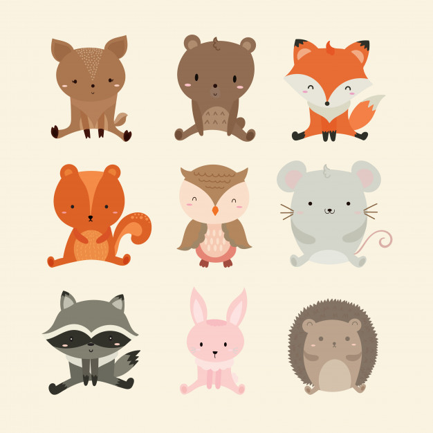 Set Of Cute Illustration Of Woodland Animals Vector Premium Download 626x626 Set Of Cute Illustration Of Woodland Animals Vector Premium Download