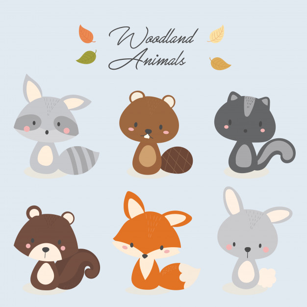 Set Of Cute Woodland Animal Vector Premium Download 626x626 Set Of Cute Woodland Animal Vector Premium Download