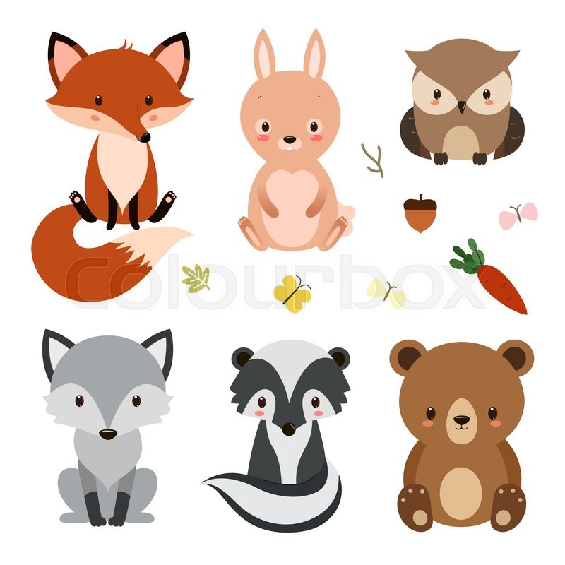 Set Of Cute Woodland Animals Isolated Stock Vector Colourbox 800x800 Set Of Cute Woodland Animals Isolated Stock Vector Colourbox
