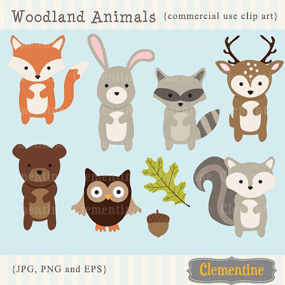 Woodland Animals Clip Art Images, Fox Clip Art, Fox Vector 570x570 Woodland Animals Clip Art Images, Fox Clip Art, Fox Vector