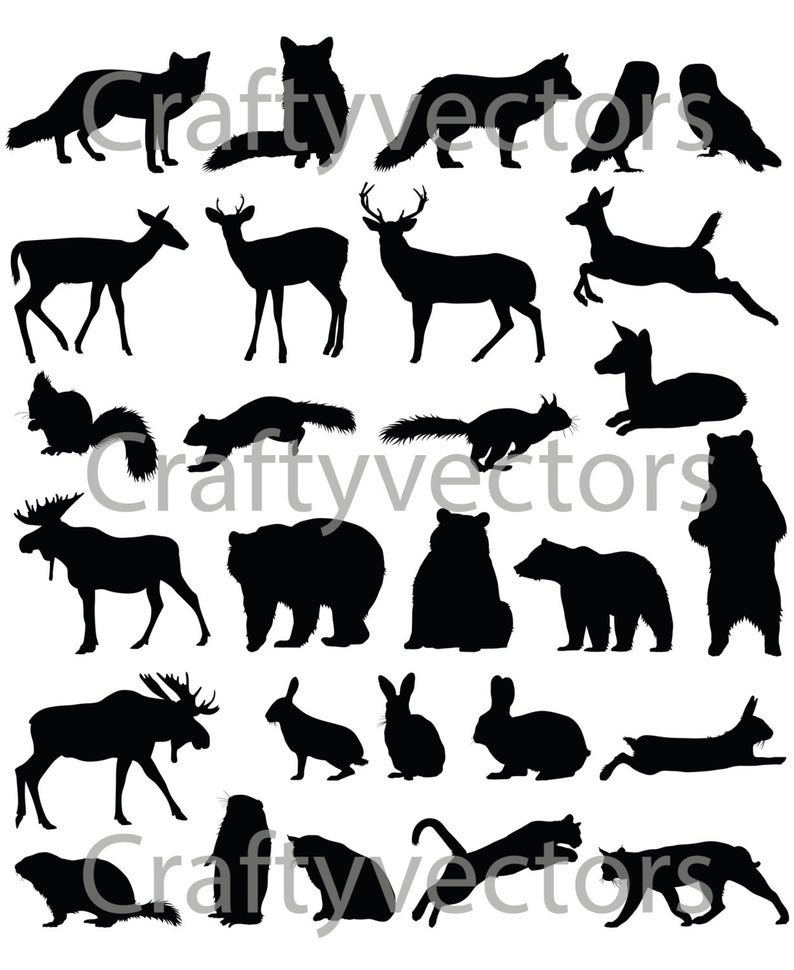 Woodland Animals Vector at Vectorified.com | Collection of Woodland