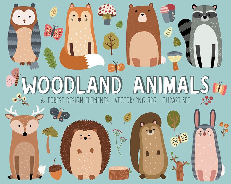 Woodland Clipart Set Cute Woodland Forest Animals Vector Etsy 794x635 Woodland Clipart Set Cute Woodland Forest Animals Vector Etsy