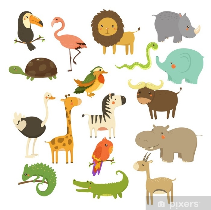 Cute Woodland And Jungle Animals Vector Set Wall Mural Pixers 700x697 Cute Woodland And Jungle Animals Vector Set Wall Mural Pixers