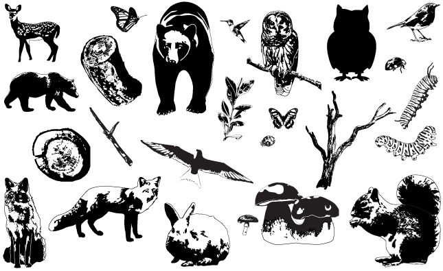 Forest Animals Vector Pack 645x395 Forest Animals Vector Pack