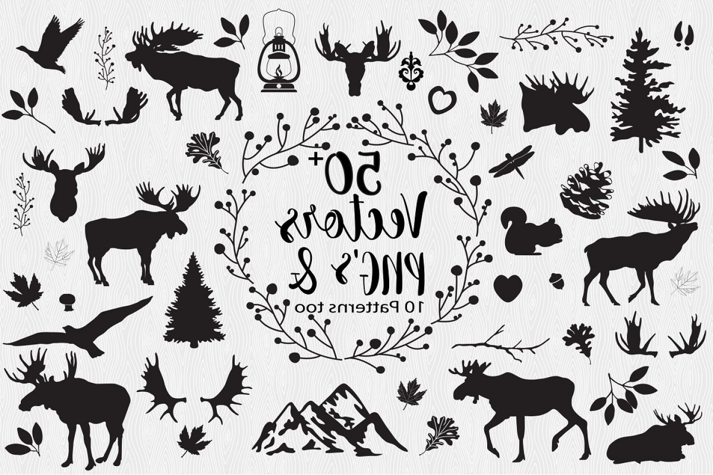 1440x960 Moose Lodge Logo Vector Catchsplace