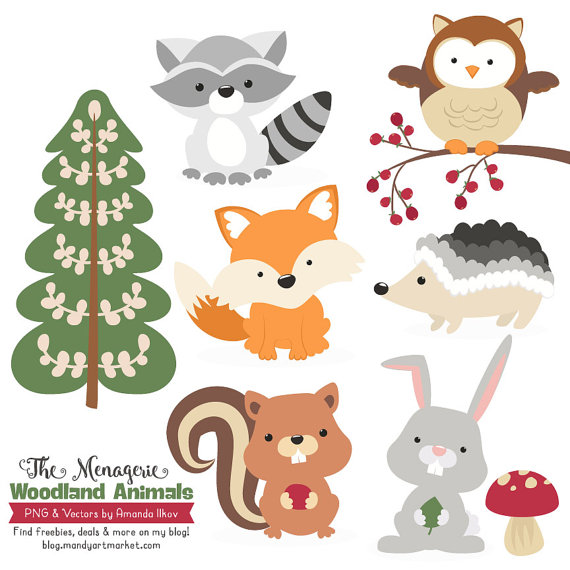 570x570 Premium Woodland Animals Clip Art Vectors Woodland