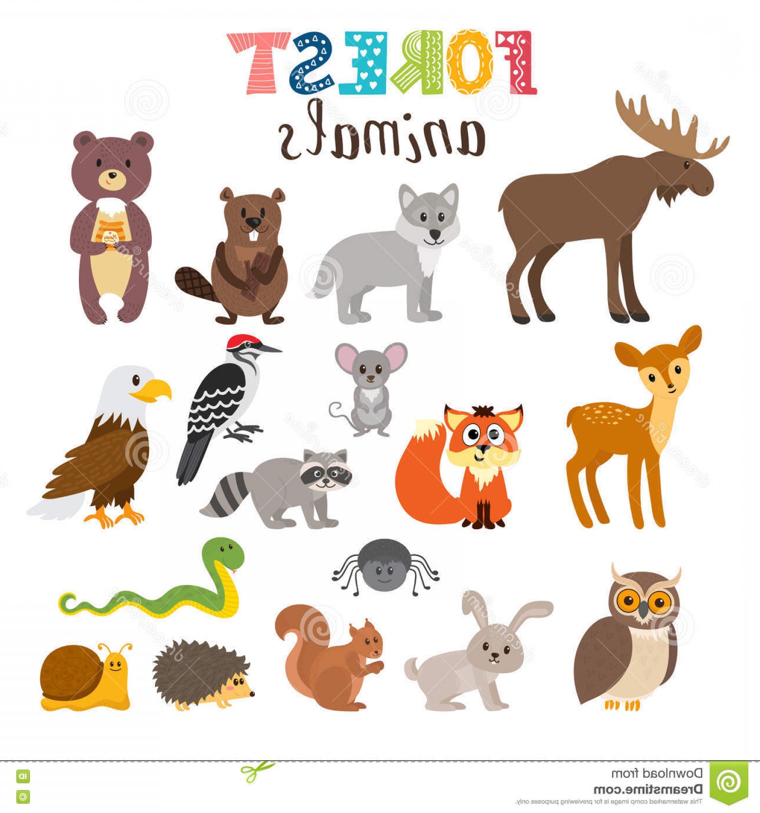 1560x1668 Stock Illustration Set Cute Forest Animals Vector Woodland Cartoon