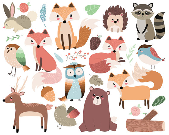 570x456 Woodland Forest Animals Clip Art