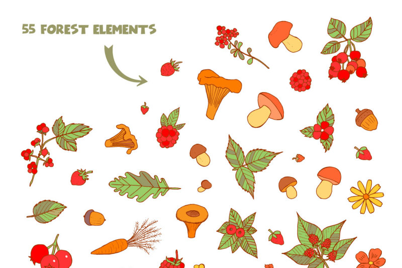 800x533 Woodland Vector Animals + Patterns