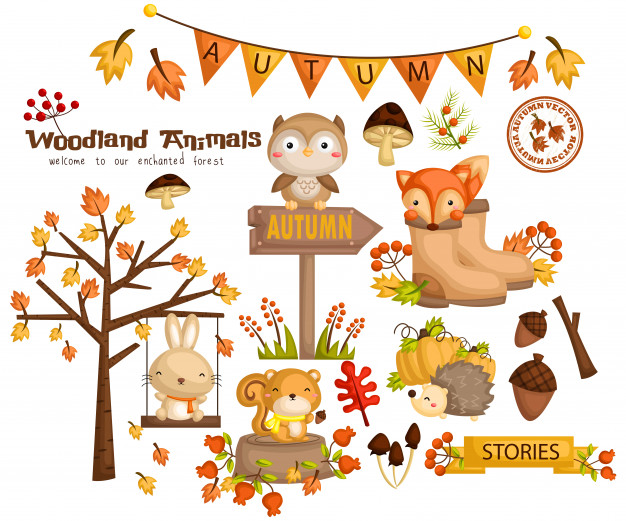 626x521 Autumn Woodland Animal Vector Premium Download