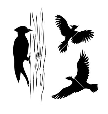 380x400 Silhouettes Of A Woodpecker Vector Tattoo Silhouette Tattoos