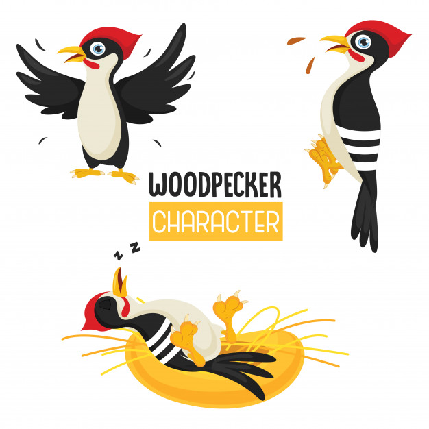 626x626 Vector Illustration Of Cartoon Woodpecker Vector Premium Download
