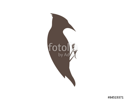 500x400 Woodpecker Silhouette Stock Image And Royalty Free Vector