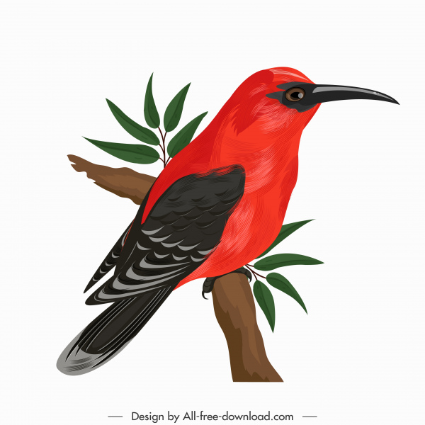 600x600 Woodpecker Bird Icon Colorful Perching Sketch Free Vector In Adobe