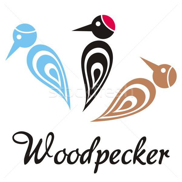 600x600 Woodpecker Vector Illustration David Benes