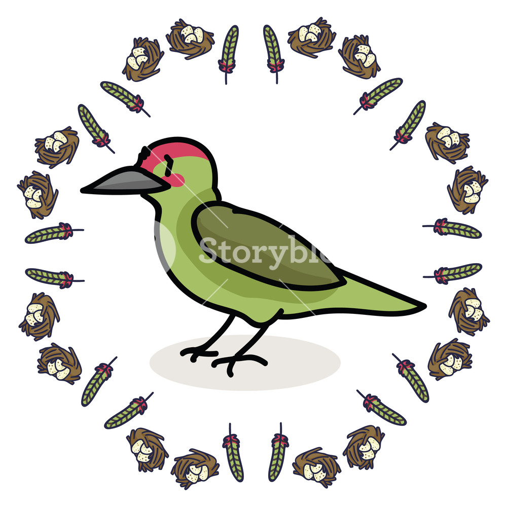 1000x1000 Cute Woodpecker And Feathers Cartoon Vector Illustration Motif Set