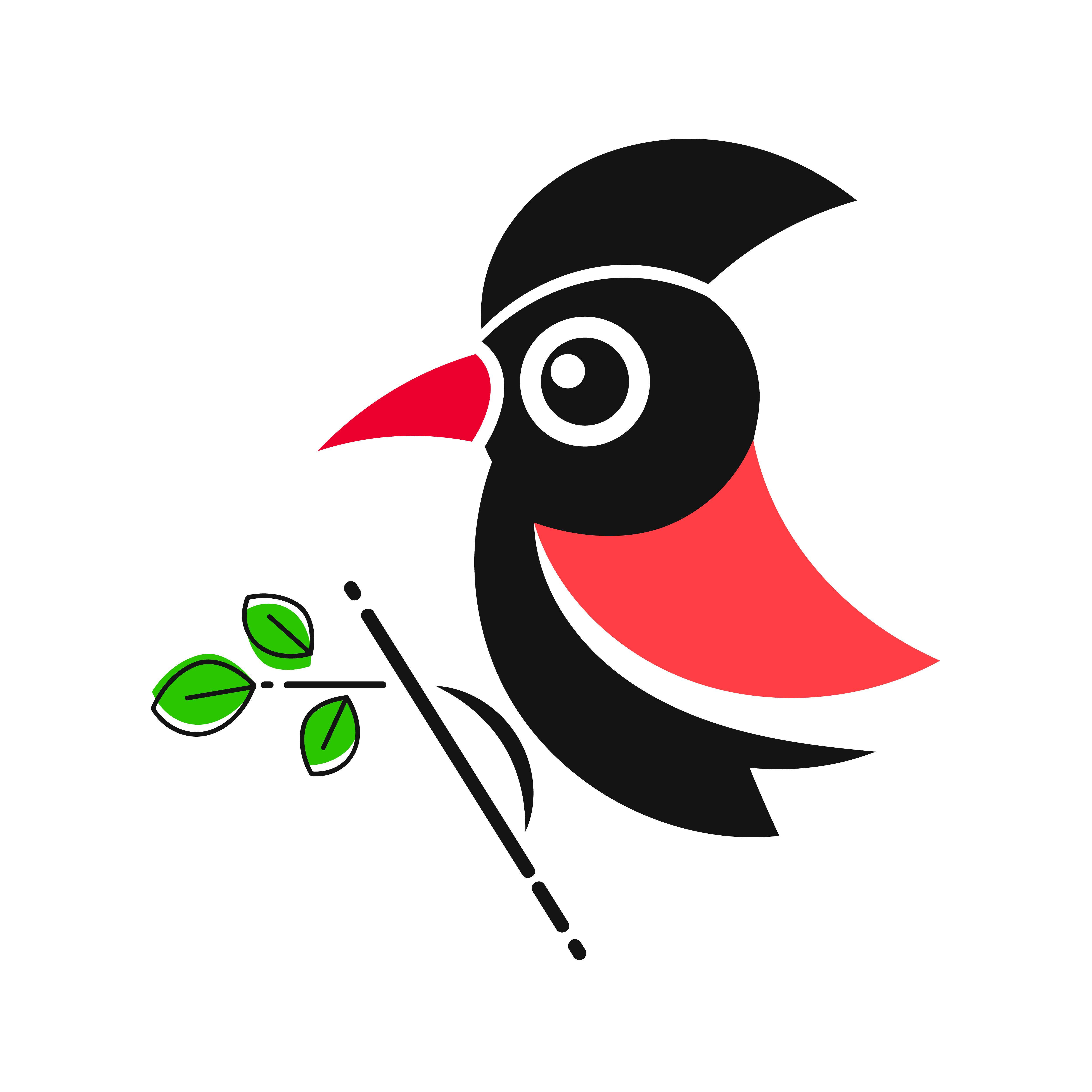 5000x5000 Woodpecker Bird Animal Abstract Vector Template Zoo Wildlife