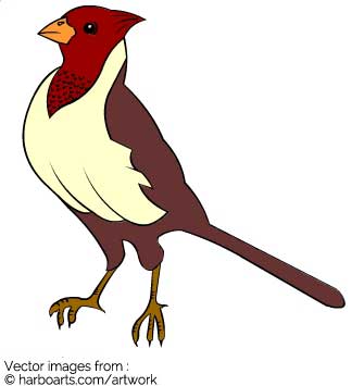 335x355 Download Woodpecker