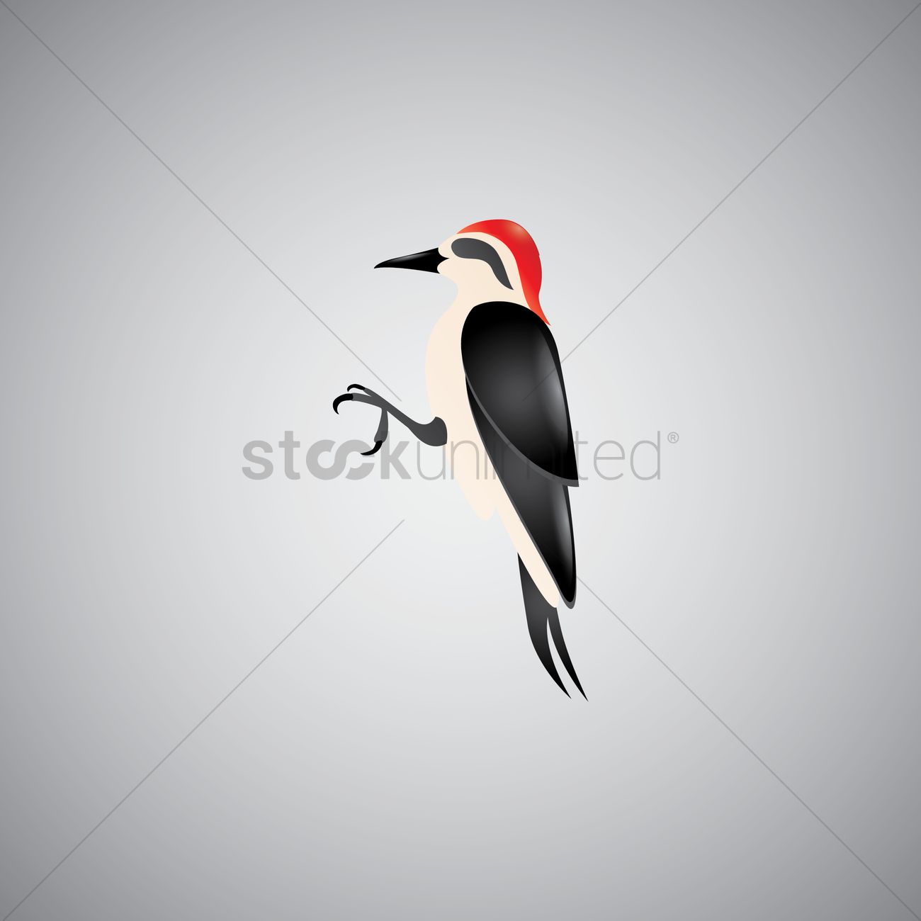 1300x1300 Free Red Bellied Woodpecker Vector Image