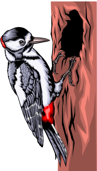 396x700 Pileated Woodpecker
