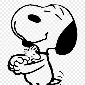 300x300 Peanuts Snoopy Woodstock Charlie And Linus Catchsplace
