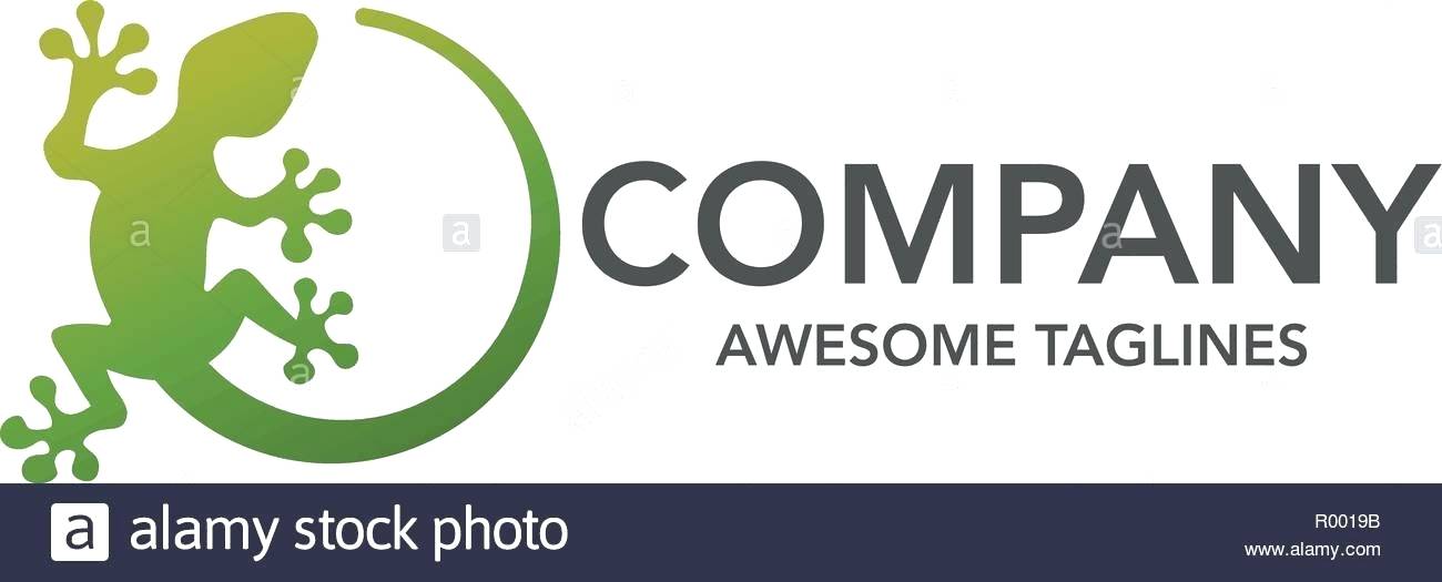 1300x525 Gecko Logo Vector Icon Template Wordpress Theme Documentation Shopify