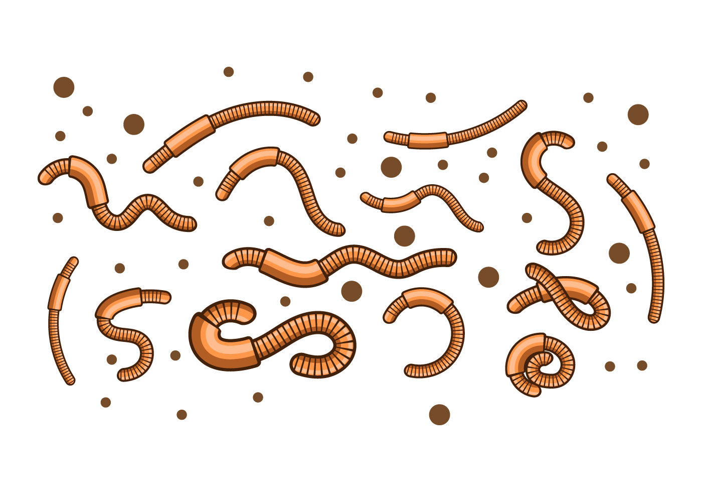 1400x980 Earthworm Free Vector Art