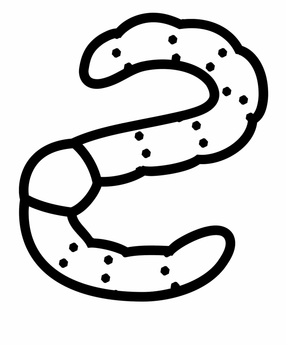 920x1106 Worm Vector
