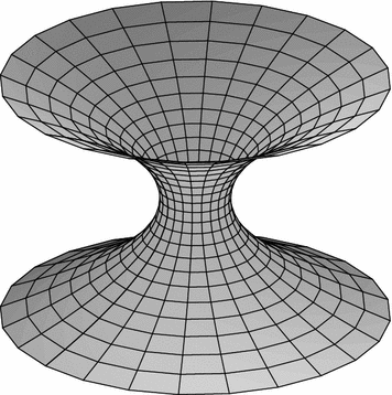356x358 Wormhole Basics Springerlink