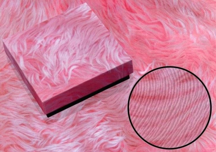 728x511 Sweet Box Design Vector Software Free Apple Studio Packaging