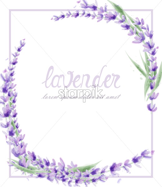 520x600 Lavender Wreath Vector Watercolor Round Frame Decor Illustration