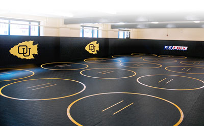 400x248 Wrestling Mats