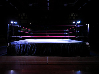 320x240 Wrestling Ring Photos, Royalty Free Images, Graphics, Vectors