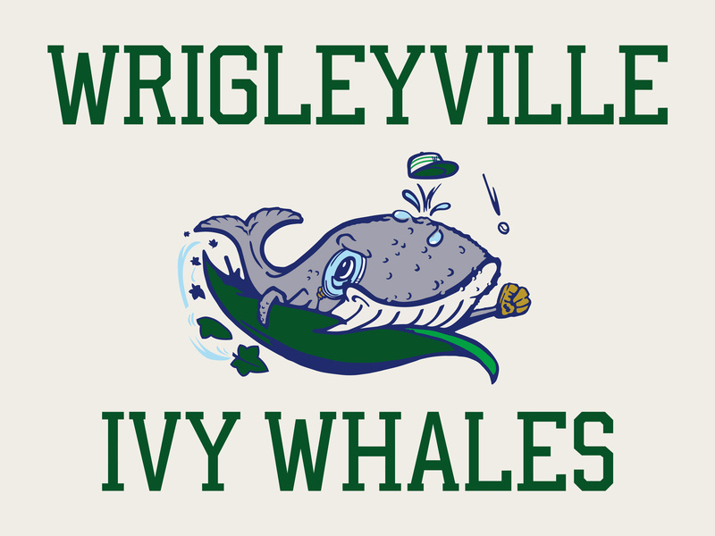 800x600 Wrigleyville Ivy Whales