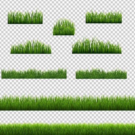 450x450 Big Set Green Grass Borders Transparent Background White