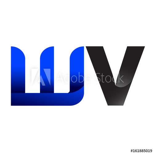 500x500 Modern Simple Initial Logo Vector Blue Grey Wv
