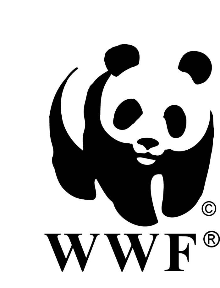 700x916 Wwf Logo Png Vector, Clipart