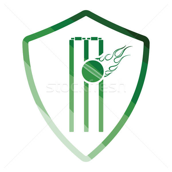 600x600 Cricket Shield Emblem Icon Vector Illustration Pavel Konovalov