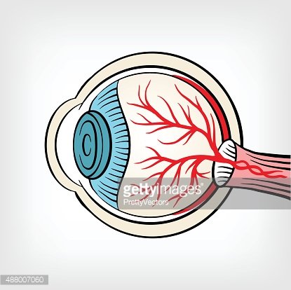 415x414 Eyeball X Ray Vector Cartoon Illustration Premium Clipart